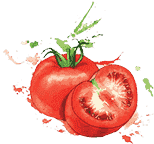 DDOS压力测试网页端